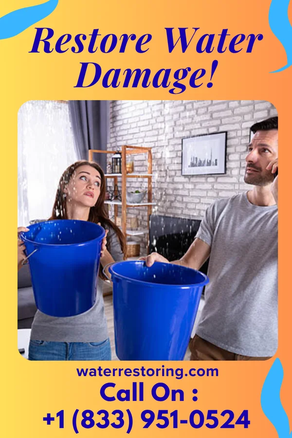 water restoration Local Water Repair Brothers Toronto