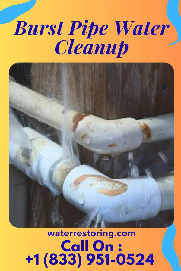 Burst Pipe Water Cleanup in Toronto, OH