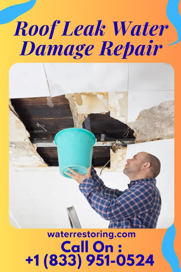 Roof Leak Water Damage Repair in Toronto, OH