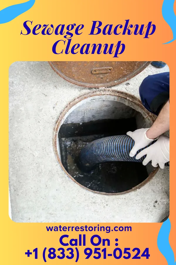 Sewage Backup Cleanup in Toronto, OH